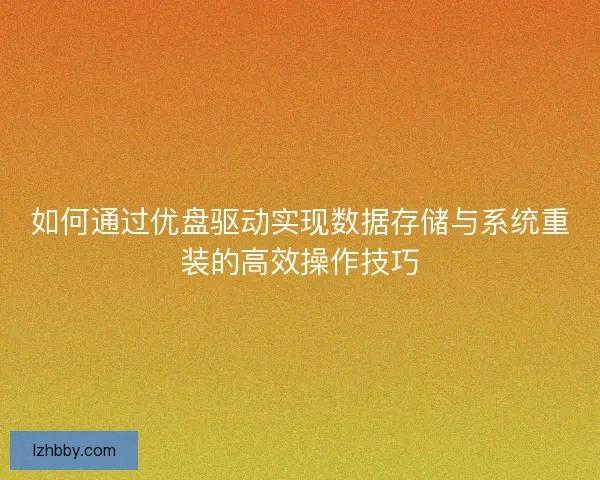如何通过优盘驱动实现数据存储与系统重装的高效操作技巧 如何通过优盘驱动实现数据存储与系统重装的高效操作技巧