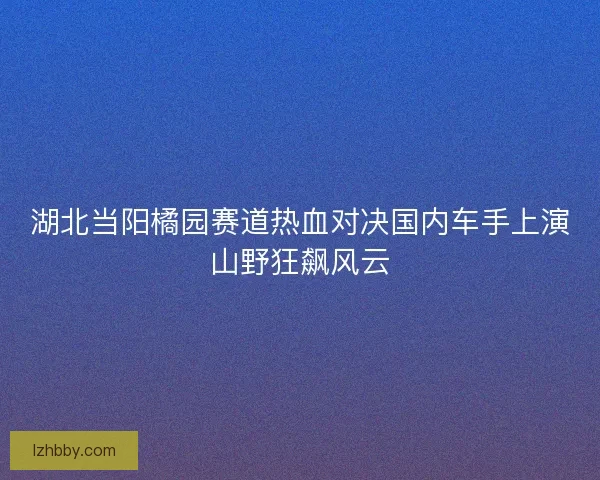 湖北当阳橘园赛道热血对决国内车手上演山野狂飙风云