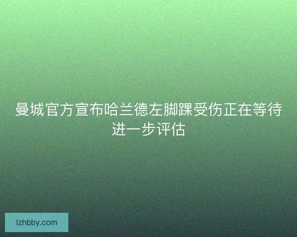 曼城官方宣布哈兰德左脚踝受伤正在等待进一步评估 曼城官方宣布哈兰德左脚踝受伤正在等待进一步评估